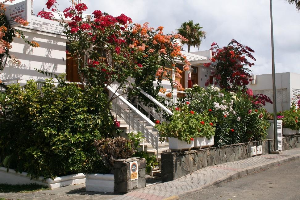 Apartamentos El Capricho ماسبالوماس المظهر الخارجي الصورة